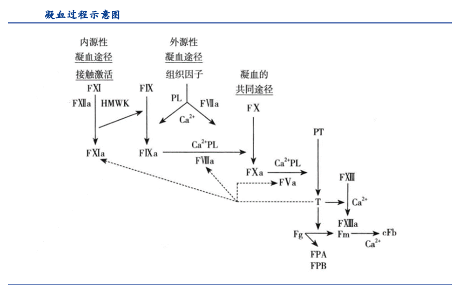 我国凝血因子类产品综述